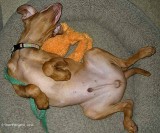 A Very Relaxed Becket