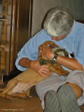 Becket's First Night