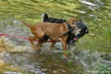 Becket & Jillie