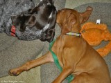 Napping