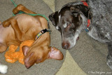Becket & Rook