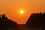 Sunset - Alligator River NWR