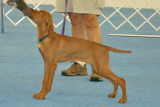 Becket