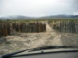 Passing through an abandoned corral on the way to Ivanpah in Mojave NP
