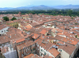 lucca1