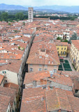 lucca2