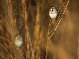 _MG_2666 800.jpg
