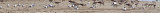 Little Tern_6056.jpg