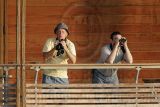 _MG_6512 800.jpg