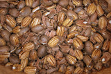 pecans