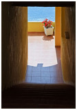 Steps to paradise