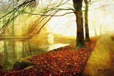 fall landscape
