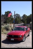 MUSTANG037.jpg