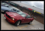 MUSTANG190.jpg