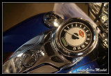 Harley71.jpg