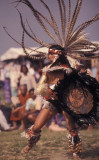 Image13