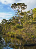 Walpole River