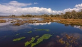 Lake Goegrup, Mandurah WA