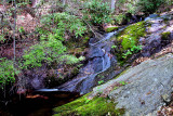 No Name Creek,