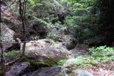 No Name Creek in Stone Mountain State Park NC.