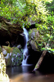 Waterfalls (NO. 6) on No Name Creek in Stone Mountain State Park NC.