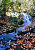 Autumn  Shots  of  Fall No.>6 /New  Falls I Found 10/31/08/About 30 Ft.