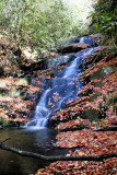 Falls> No. 4   30 to 40 Ft. Autumn Colors Pictures Made 11/08/08
