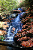 Falls> No. 4 30 to 40 Ft. Autumn Colors Pictures Made 11/08/08