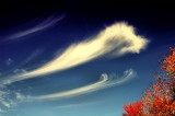 Painting in the Sky