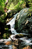 New Pictures of Falls No. 4 On No name Creek, Got some water on it for a chang