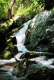 New Pictures of Falls No. 4 On No name Creek, Got some water on it for a chang