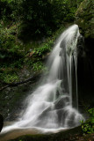 Wet-es Spring we had in 7 years ,most water on these little Creek in years