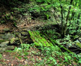 What Left of A Old Bridge on the trail Along Big Branch