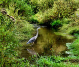 Made at Withe Mill Near Abingdon VA on my way home Sunday 9/20/09