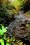 Fall 2009 Tributary to Basin Creek , Cascade About 30 Ft.