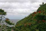 The Road To Hana