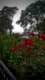 Riverside Park garden