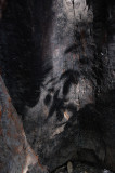 MT.Tam_19.jpg
