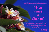 Challenge ~ Looking into the New Year