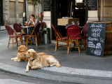 Paris - just before our flight to the US