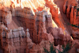 hoodoos in Bryce