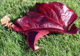 # 9 ~ How the mighty are fallen