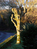 Dawn of Spring?