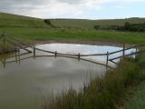 Cuckmere