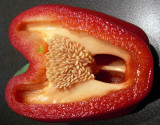 red pepper