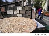 Drying Vegetables ڥ