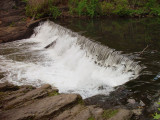 Bronx River - New York Botanical Garden