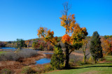 Ringwood State Park, Ringwood, NJ