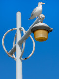 Jacob Riis Park, Queens