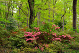 Clark Botanic Garden